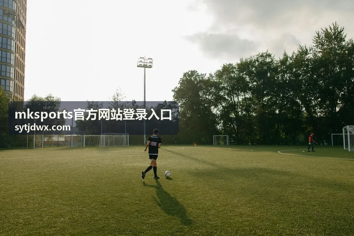 mksports官方网站登录入口地址核对与账号输入界面示意
