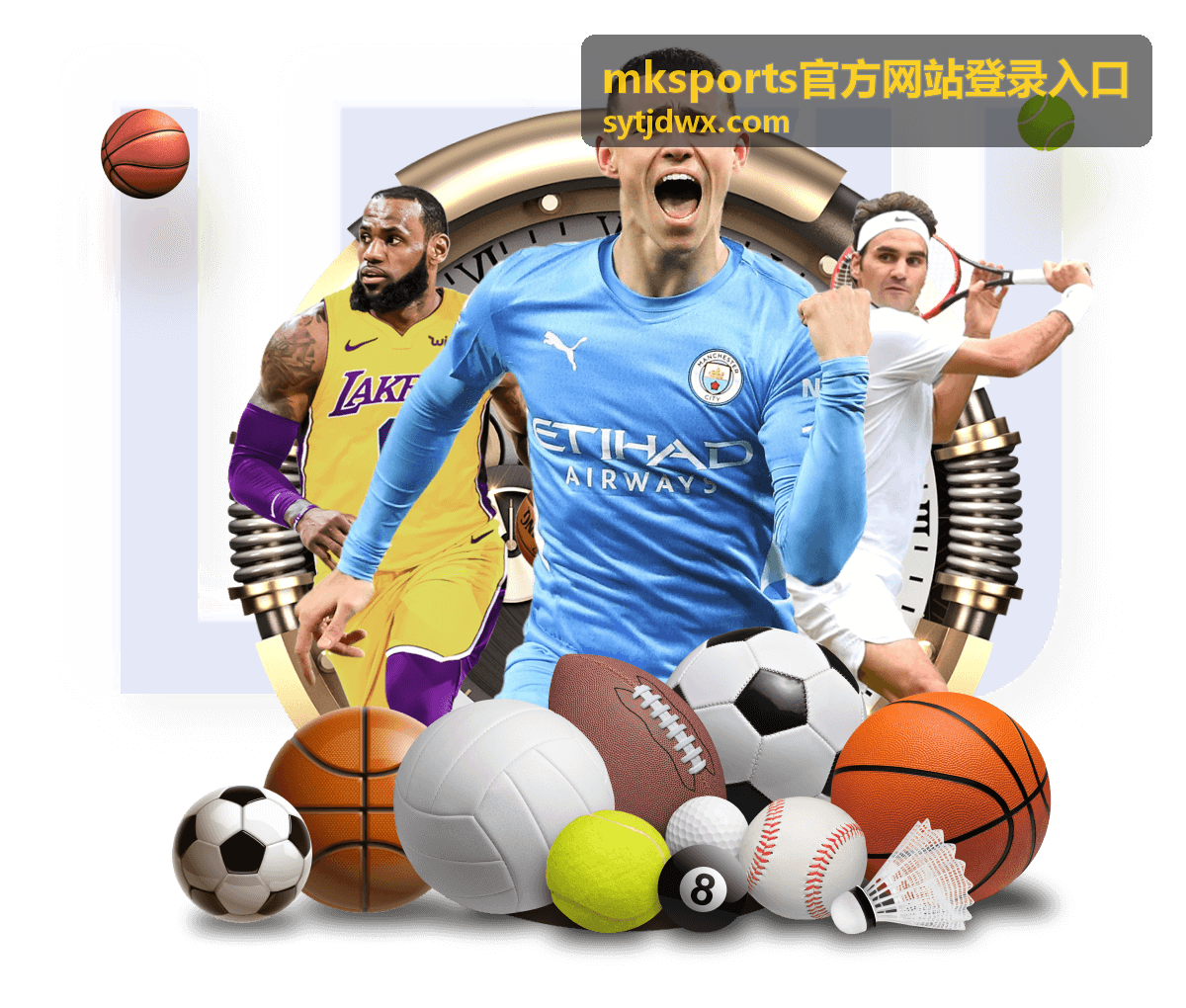 mksports官方网站登录入口安全校验与动态验证码填写示意