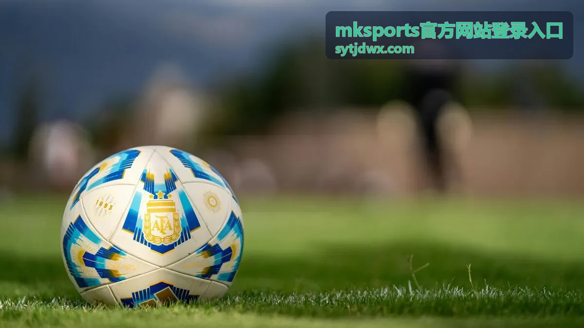mksports官方网站登录入口登录后账户状态核对界面