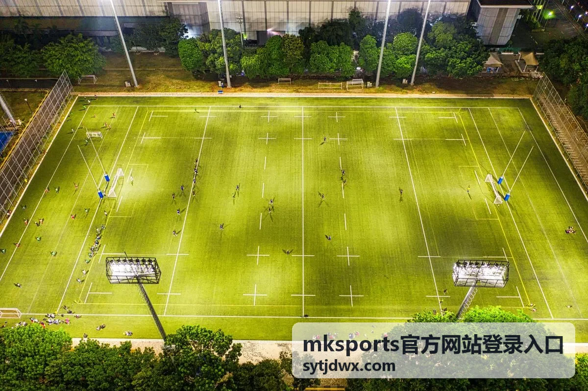 mksports官方网站登录入口 活动奖励发放节点说明图